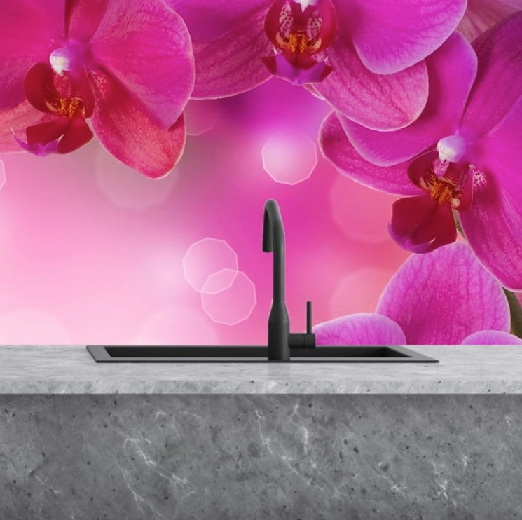 Sticla vopsita bucatarie placari  #1854