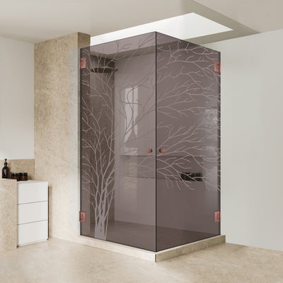 Cabina dus cu usa batanta #Bronz